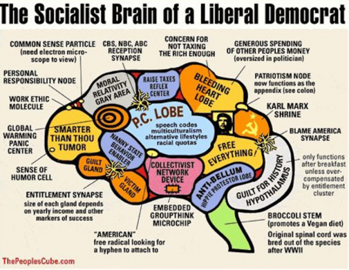 Liberal Credo and Liberal Brain